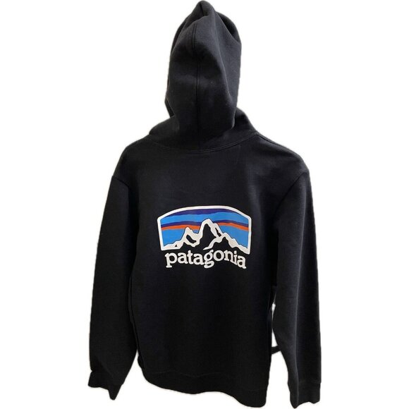 Patagonia Other - Patagonia P6 Logo Uprisal  Hoody Black  NWT Mens S / Women's M